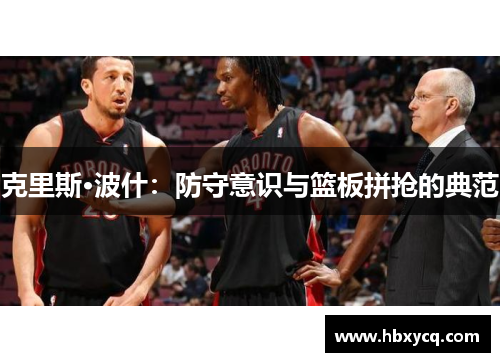 克里斯·波什：防守意识与篮板拼抢的典范