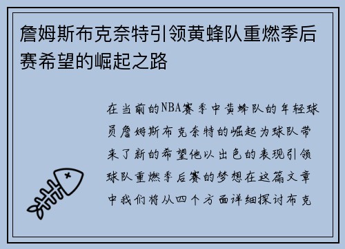 詹姆斯布克奈特引领黄蜂队重燃季后赛希望的崛起之路