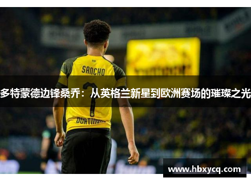 多特蒙德边锋桑乔：从英格兰新星到欧洲赛场的璀璨之光