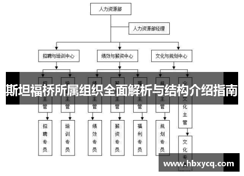 斯坦福桥所属组织全面解析与结构介绍指南