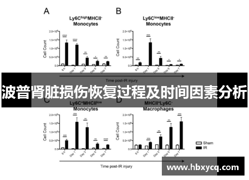 波普肾脏损伤恢复过程及时间因素分析