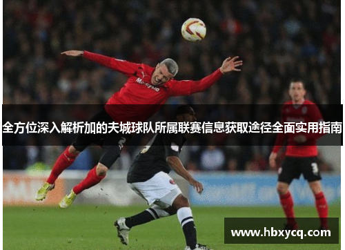 全方位深入解析加的夫城球队所属联赛信息获取途径全面实用指南