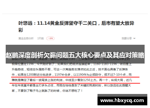 赵鹏深度剖析欠薪问题五大核心要点及其应对策略